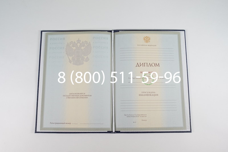 Диплом о высшем образовании 2003-2009 годов в Грозном